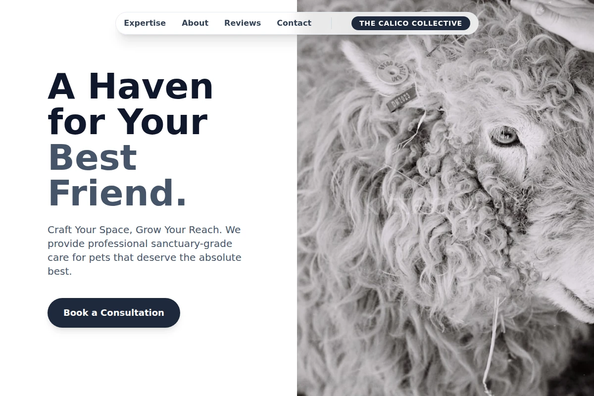 Sanctuary Animal Care
