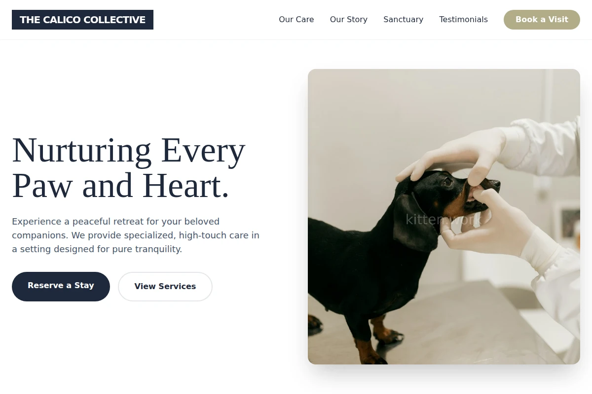 Sanctuary Animal Care
