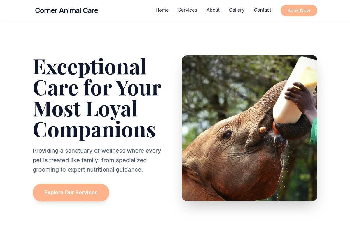 Corner Animal Care