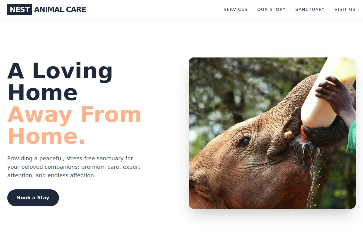 animal-care