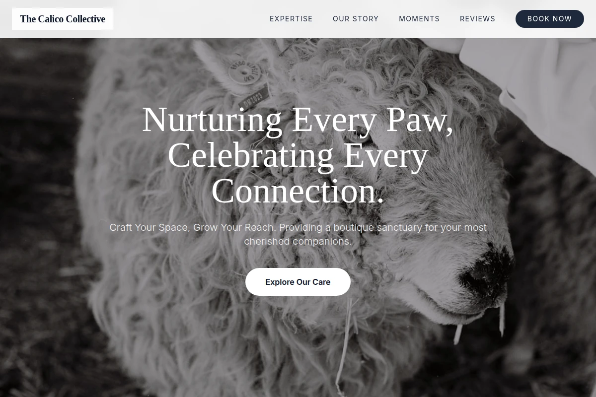 Gallery Animal Care