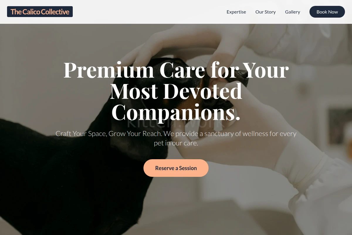 animal-care