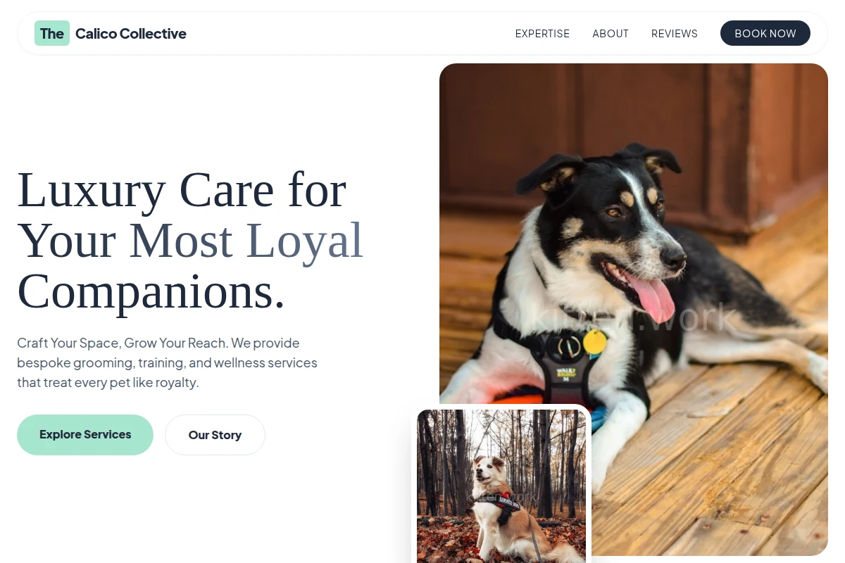 Mold Pet Services