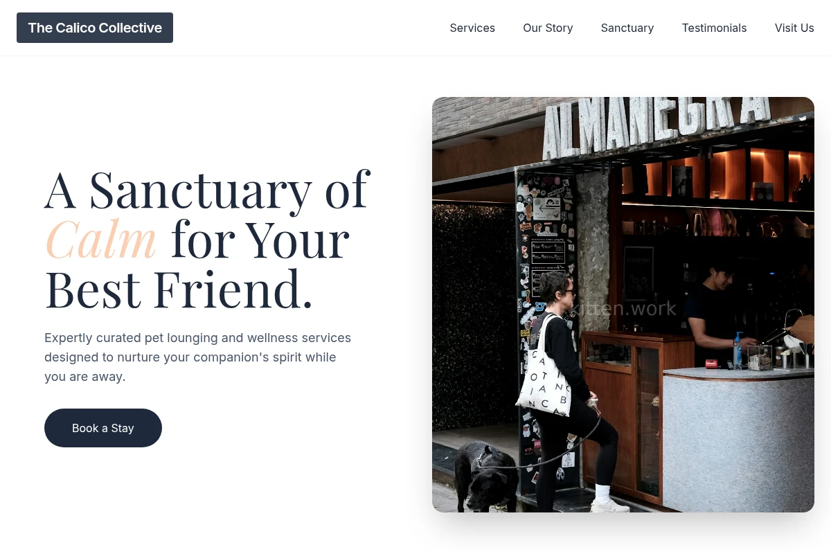 Lounge Pet Services
