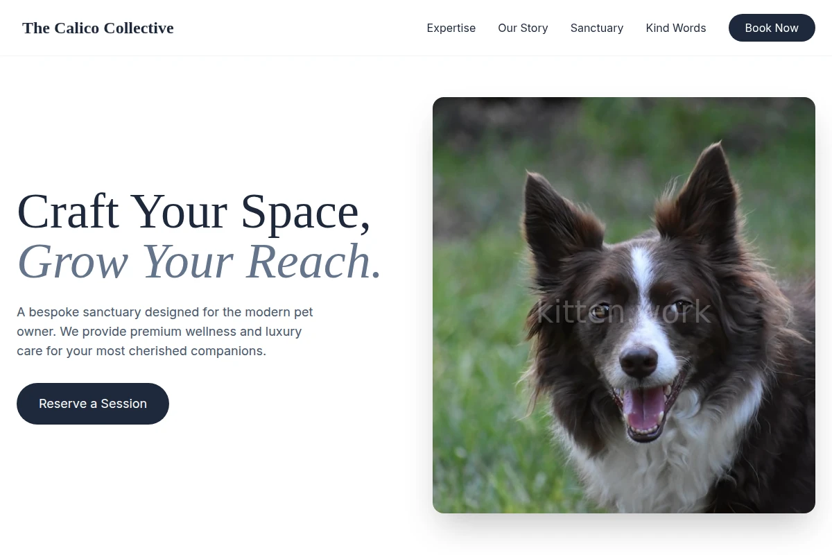 Mold Pet Services
