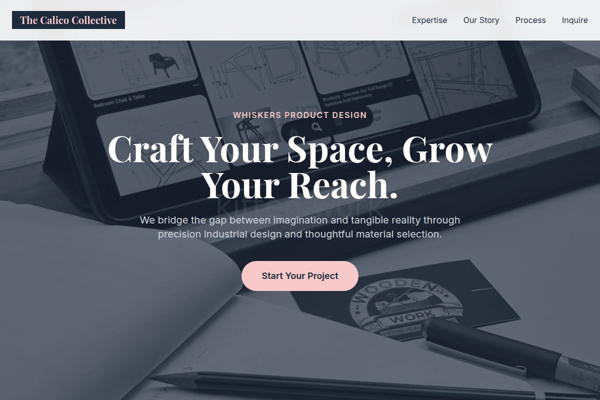Whiskers Product Design